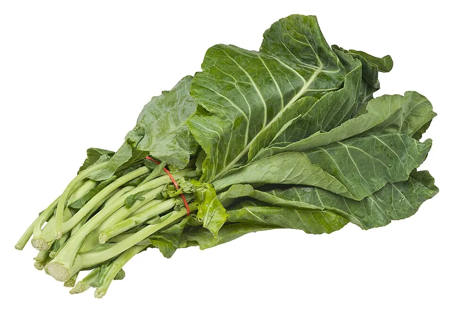 Representação ilustrativa de couve manteiga com folhas verdes largas e nervuras visíveis